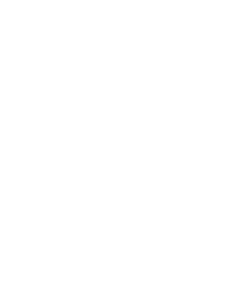 logo_footer_WBDA_white_transparent2-229x300.png